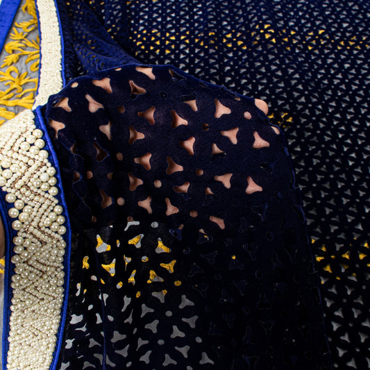 Sanskriti Vintage Soft Blue Net Velvet Saree Cut Work & Embroidered LaceSari 6.5