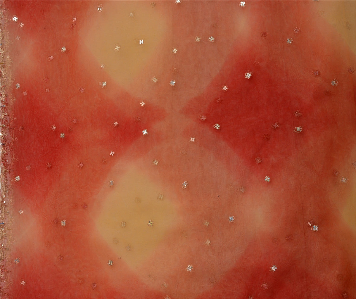 Sanskriti Vintage Dupatta Long Stole Net Mesh Red Scarves Hand Beaded Hijab