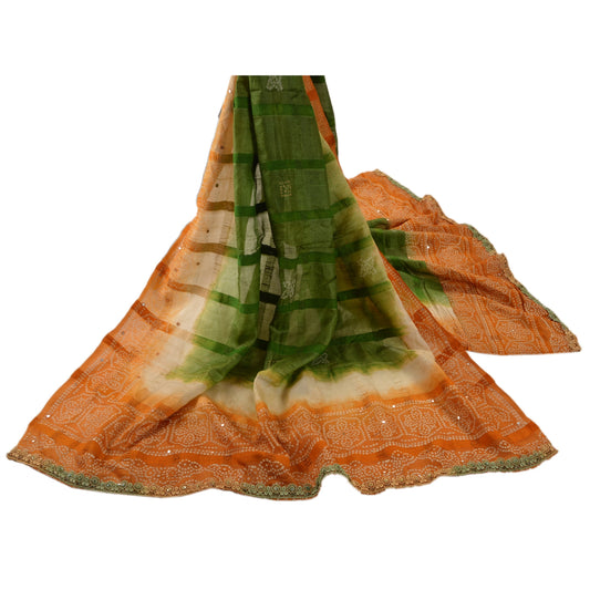 Sanskriti Vintage Dupatta Long Stole Pure Silk Multi Color Hand Embroidered Painted Shawl