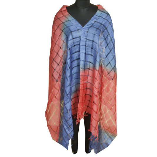 Sanskriti Vintage Long Dupatta Stole Pure Silk Hijab Red/Blue Woven Scarves