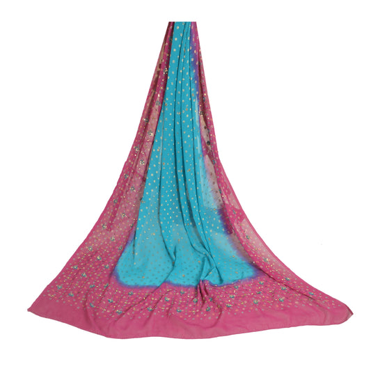 Sanskriti Vintage Long Purple/Blue Dupatta/Stole Pure Georgette Silk Hand Beaded