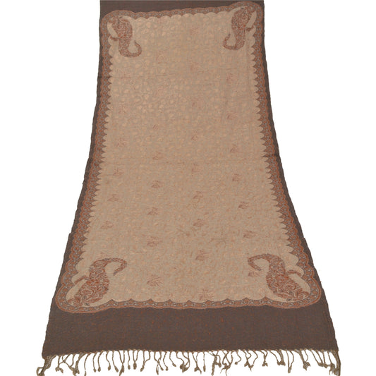 Sanskriti Vintage Cream Woollen Shawl Hand Embroidered Ari Work Stole Scarf