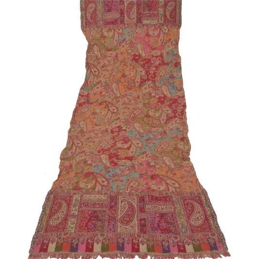 Sanskriti Vintage Multi Color Woolen Shawl Woven Work Long Stole Soft Scarf