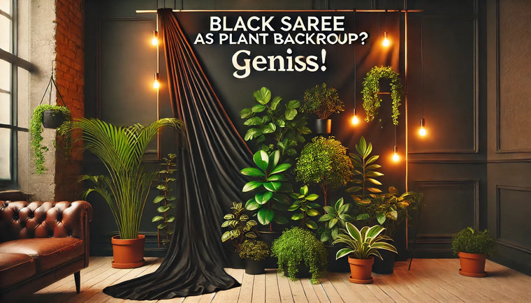 Beyond Fashion: How a Black Saree Became the Perfect Plant Backdrop