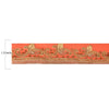 Sanskriti Vintage 1 Yd Sari Border Hand Beaded Craft Trim Ribbon Peach Lace