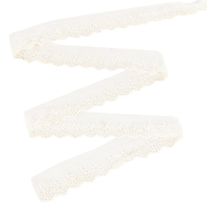 Sanskriti Vintage Sari Border Embroidered 1 YD Trim White Net Mesh Lace Robbin
