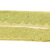 Sanskriti Vintage Sari/Saree Border Hand Beaded Thread 1 YD Trim Green 3W Lace