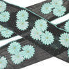 Sanskriti Vintage Sari Border Hand Beaded Sequins 1 YD Sewing Trim Black 8W Lace