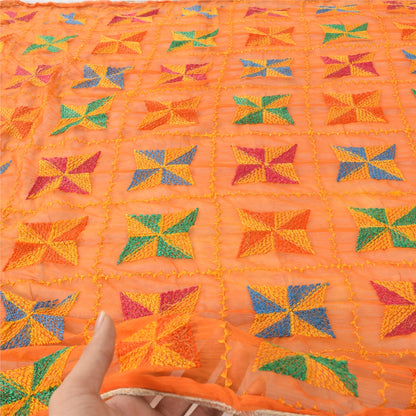 Sanskriti Vintage Dupatta Long Stole Chiffon Embroidered Bagh Phulkari Wrap Veil
