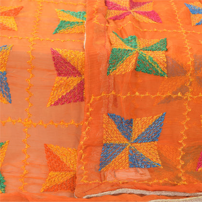 Sanskriti Vintage Dupatta Long Stole Chiffon Embroidered Bagh Phulkari Wrap Veil