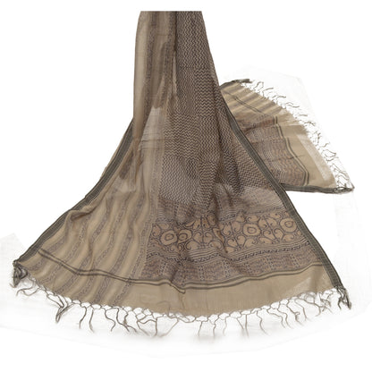 Sanskriti Vintage Hand Block Print Chanderi Dupatta Indian Stole Pale Cream Veil