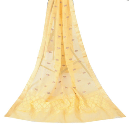 DC-51856 bothsidefulllength resized
