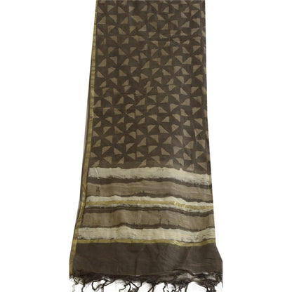 Sanskriti Vintage Chanderi Bagru Hand Block Pure Silk Dupatta Long Brown Stole