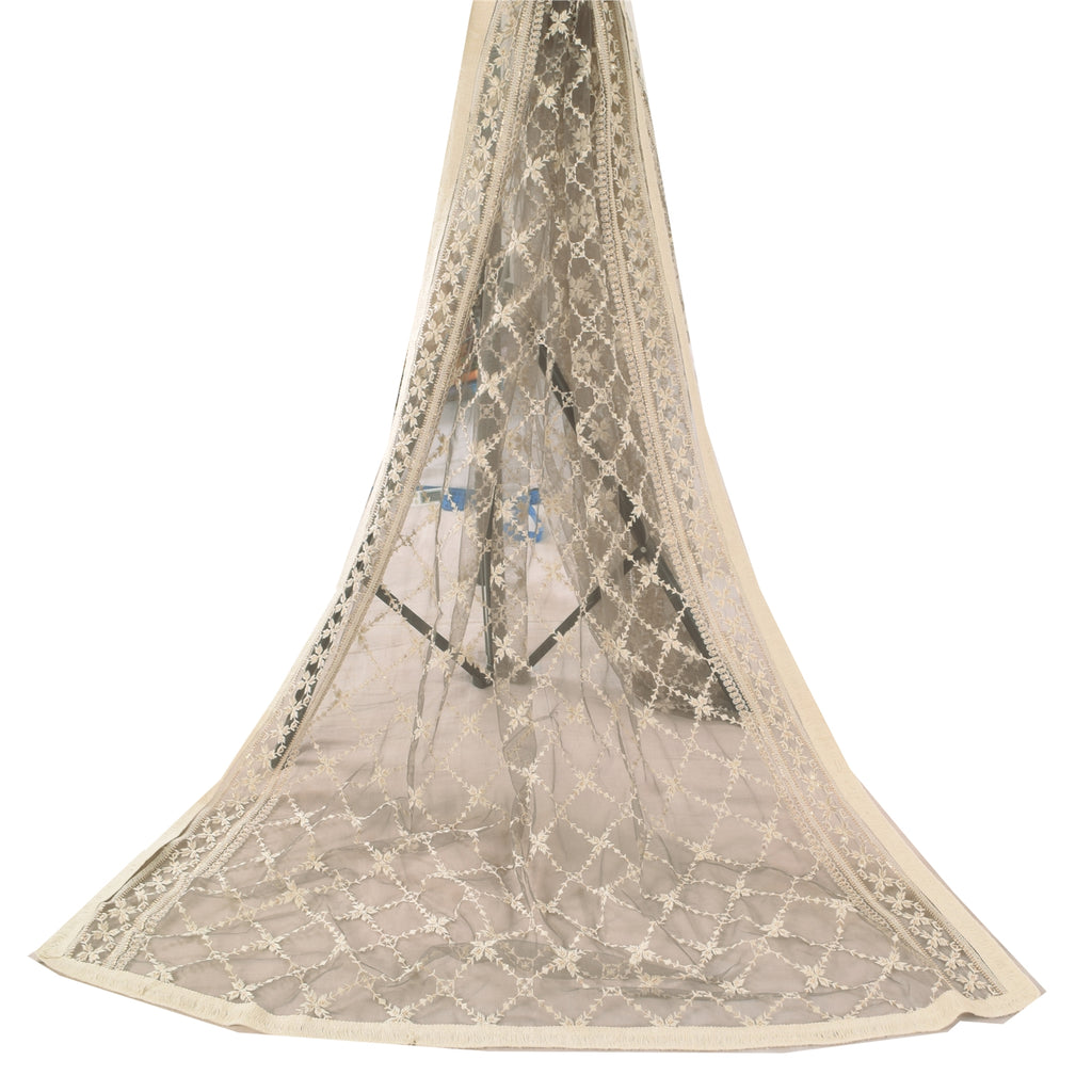 Sanskriti Vintage Gray Dupatta Long Stole Net Mesh Embroidered Premium Wrap Veil