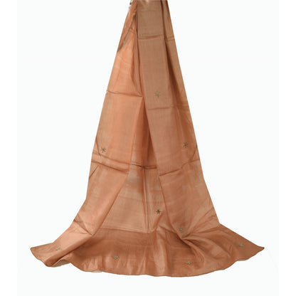 Sanskriti Vintage Light Brown Dupatta Long Stole Pure Silk Hand Beaded Wrap Veil