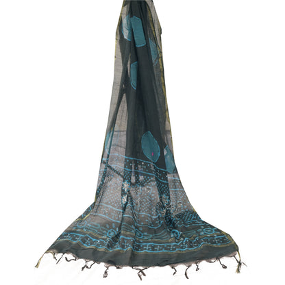 Sanskriti Vintage Black Dupatta Long Stole Pure Silk Hand Beaded Printed Scarves