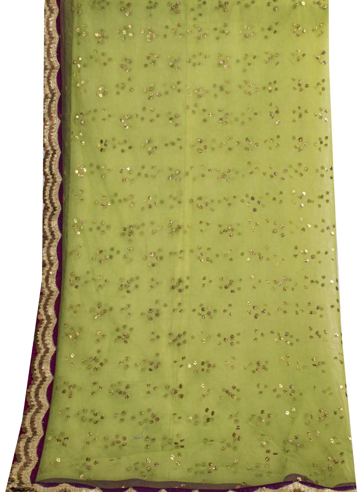 Sanskriti Vintage Net Mesh Green Dupatta Stole Embroidered Sequins Veil Fabric
