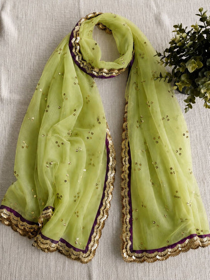 Sanskriti Vintage Net Mesh Green Dupatta Stole Embroidered Sequins Veil Fabric