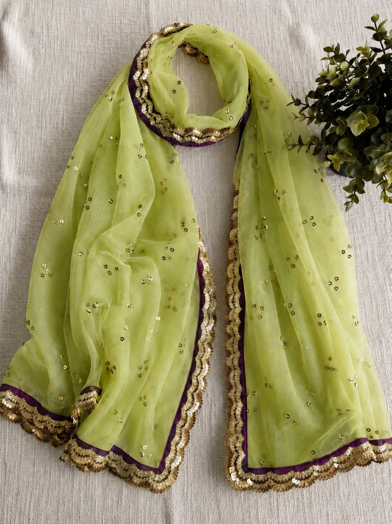 Sanskriti Vintage Net Mesh Green Dupatta Stole Embroidered Sequins Veil Fabric