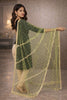 Sanskriti Vintage Green Net Dupatta Stole Hand Embroidered Zari Zardozi Scarf