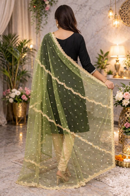 Sanskriti Vintage Green Net Dupatta Stole Hand Embroidered Zari Zardozi Scarf