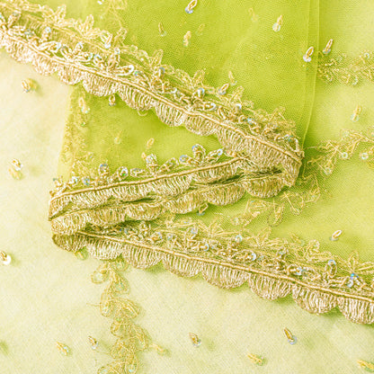 Sanskriti Vintage Green Net Dupatta Stole Hand Embroidered Zari Zardozi Scarf