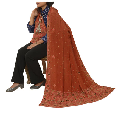 Sanskriti Vintage Rusty Orange Dupatta Long Stole Pure Crepe Silk Hand Beaded