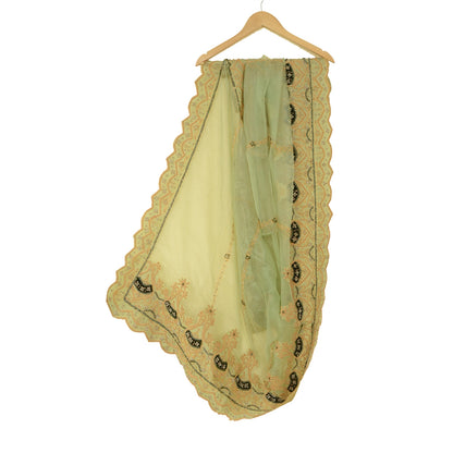 Sanskriti vintage Green Dupatta Long Stole Net Mesh Hand Beaded Zardozi Scarves