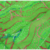 Sanskriti Vintage Green Phulkari Dupatta | Pure Cotton Handmade Wrap | Veil Stole OOAK Indian Heritage Textile Women Traditional Dress