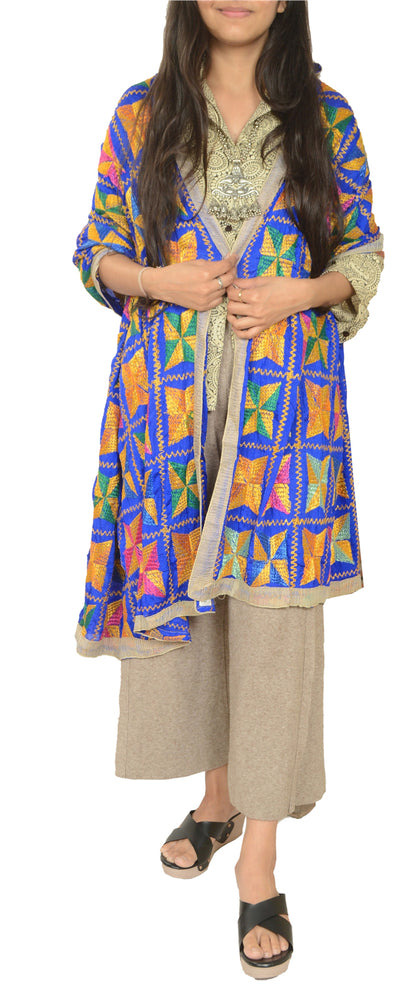Sanskriti Vintage Blue Dupatta Chiffon Silk Bagh Phulkari Embroidery OOAK Stole
