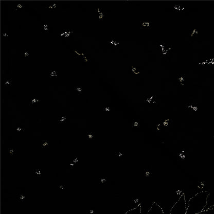 Sanskriti Vintage Black Dupatta Long Stole Cotton Silk Hand Beaded Ethnic Veil