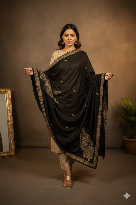 Sanskriti Vintage Black Pure Silk Dupatta Long Stole Hand Beaded Zardozi Scarves