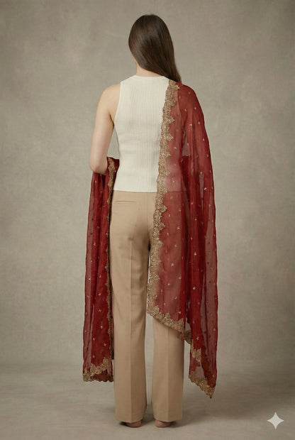 Sanskriti Vintage Red Net Dupatta Long Stole Hand Embroidery Zardozi Wedding Vei