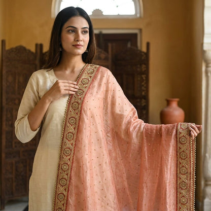 Sanskriti Vintage Red Net Dupatta/Stole Hand Embroidered Zari Sequin Indian Veil
