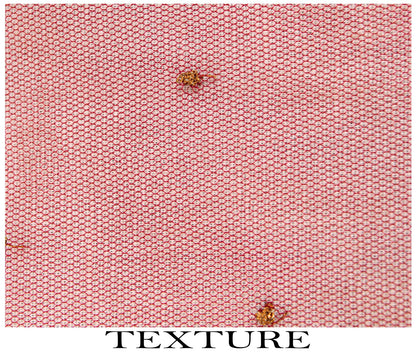 Sanskriti Vintage Red Net Dupatta/Stole Hand Embroidery Zardozi Dabka Wrap Veil