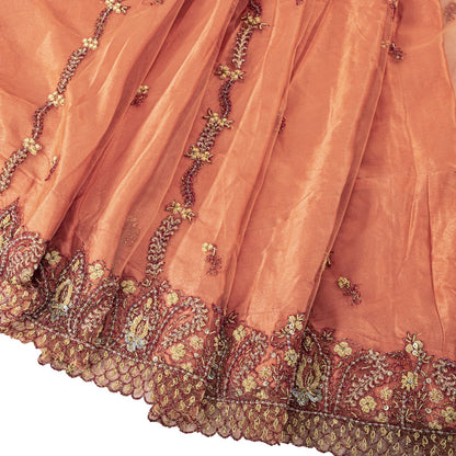 Sanskriti Vintage Peach Net Mesh Stitched Lehenga Antique Hand Embroidery Dabka
