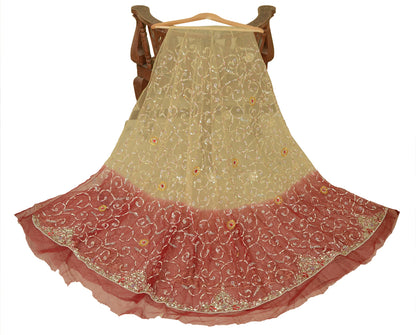 Sanskriti Vintage Beige Long Lehenga Net Mesh Hand Embroidered Zardozi Unstitch