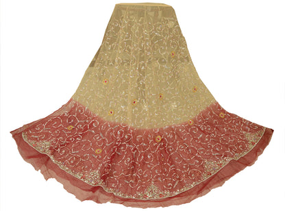 Sanskriti Vintage Beige Long Lehenga Net Mesh Hand Embroidered Zardozi Unstitch