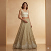 Sanskriti Vintage Ivory Long Lehenga Pure Silk Hand Embroidered Zardozi Unstitch