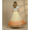 Sanskriti Vintage Cream & Orange Long Stitched Lehenga Net Hand Beaded Zardozi