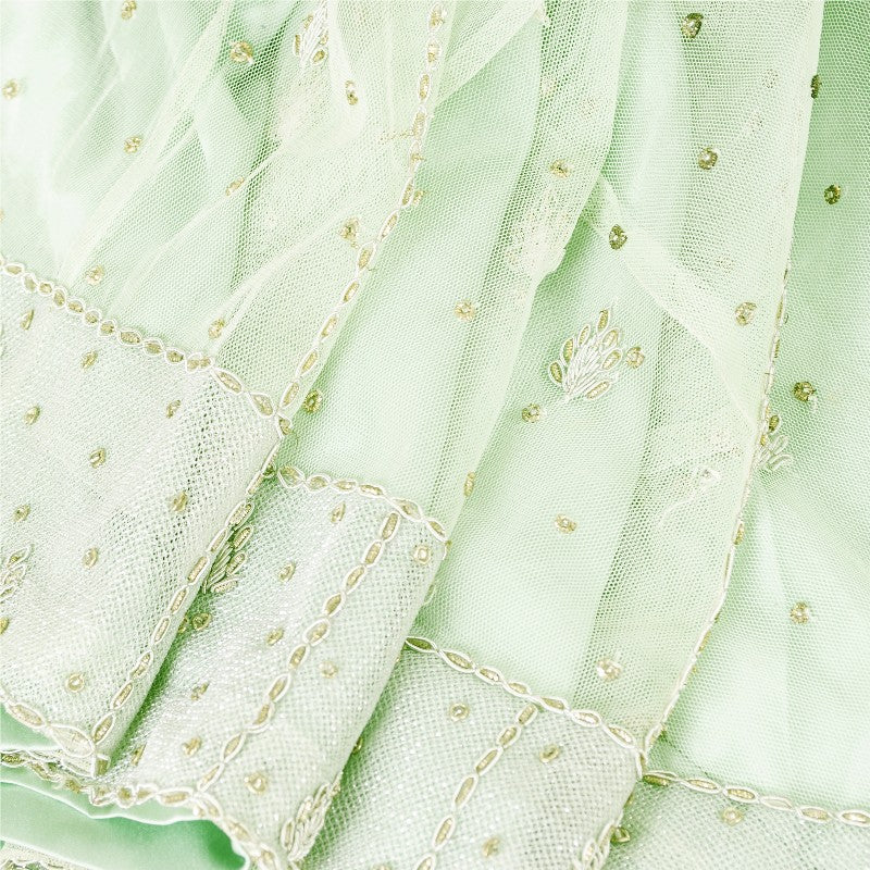 Sanskriti Vintage Green Net Mesh Stitched Lehenga Hand Embroidery Zardozi Dabka
