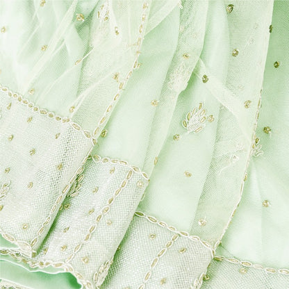 Sanskriti Vintage Green Net Mesh Stitched Lehenga Hand Embroidery Zardozi Dabka