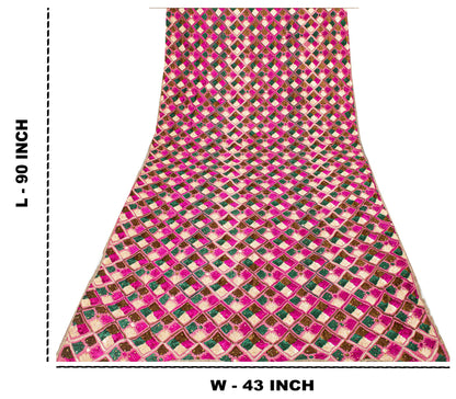 Sanskriti New Pink Pure Silk Dupatta/Stole Indian Bagh Phulkari Hand Embroidered