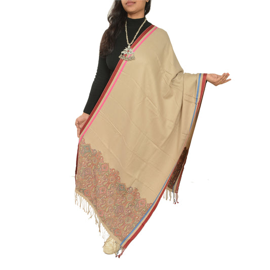 Sanskriti Vintage Brown Pure Woolen Shawl Woven Work Long Stole Soft Scarf