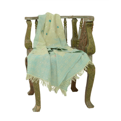 Sanskriti Vintage Green Long Shawl Handmade Ari Work Pure Woolen Scarf Stole