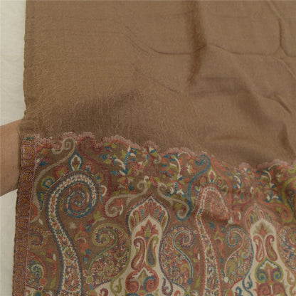 Sanskriti Vintage Long Brown Shawl Pure Woollen Woven Scarf Throw Soft Stole