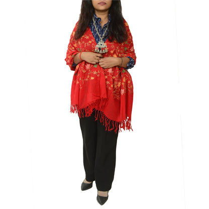 Sanskriti Vintage Long Red Shawl Pure Woollen Handmade Ari Work Scarf Stole