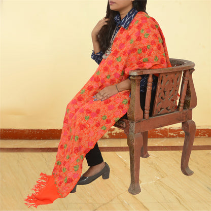 Sanskriti Vintage Long Orange Pure Woolen Shawl Handmade Ari Work Scarf Stole