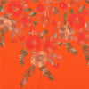 Sanskriti Vintage Long Shawl Hand Embroidered Aari Pure Woolen Orange Stole