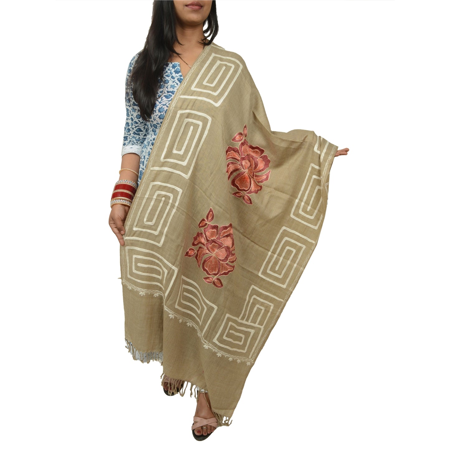 Sanskriti Vintage Hand Embroidered Aari Shawl Scarf Pure Woollen Stole Brown
